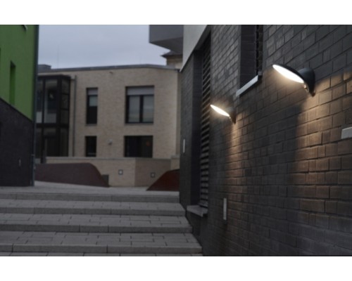 Настенный светильник уличный SIDNEY LED W1896-PiR-3K Gr Oasis Light