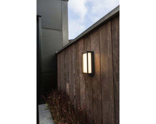 Настенный светильник уличный WiZ W1930 WiZ Gr Oasis Light