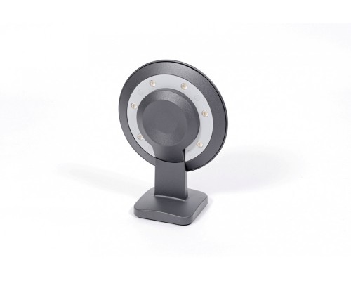 Настенный светильник уличный  W2256S Gr Oasis Light