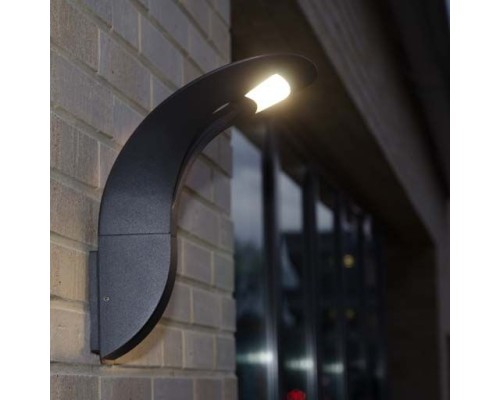 Настенный светильник уличный  W2521S Gr Oasis Light