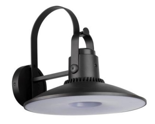 Настенный фонарь уличный  W2746 R Oasis Light