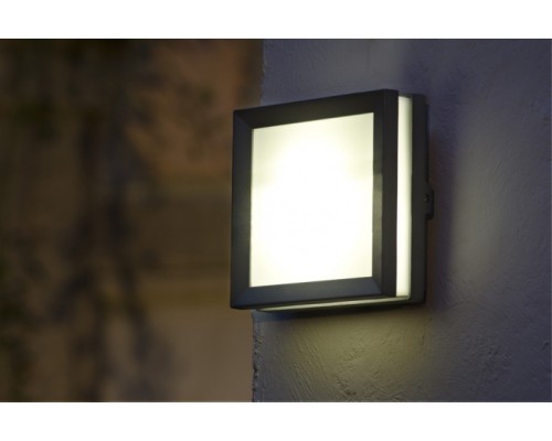 Настенный светильник уличный SIDNEY LED W3342 Gr Oasis Light