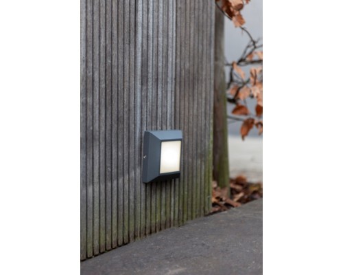 Настенный светильник уличный  W4021 Gr Oasis Light