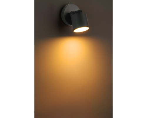 Архитектурная подсветка WiZ W6092 WiZ Gr Oasis Light