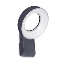 Настенный светильник уличный  W6163S Gr Oasis Light