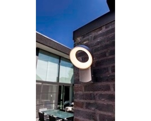 Настенный светильник уличный  W6163S Gr Oasis Light