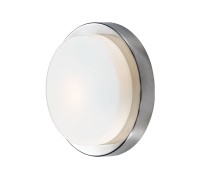 Настенно-потолочный светильник Holger 2746/1C Odeon Light