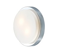 Настенно-потолочный светильник Holger 2746/2C Odeon Light