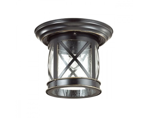 Потолочный светильник уличный Sation 4045/1C Odeon Light