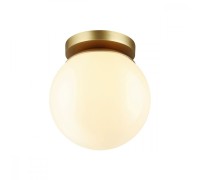 Потолочный светильник уличный Bosco 4247/1C Odeon Light