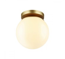 Потолочный светильник уличный Bosco 4247/1C Odeon Light