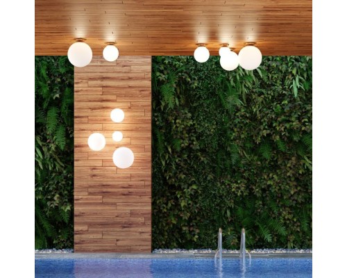 Потолочный светильник уличный Bosco 4247/1C Odeon Light