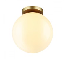 Потолочный светильник уличный Bosco 4248/1C Odeon Light