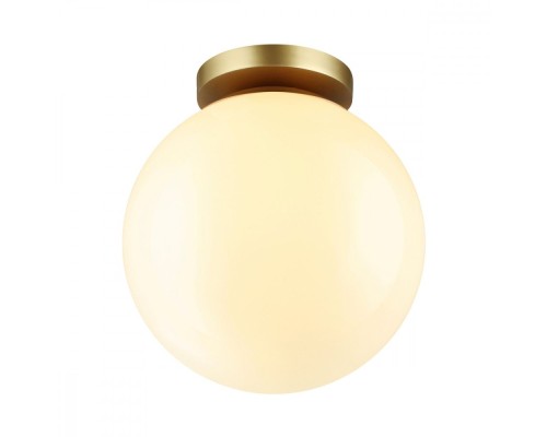 Потолочный светильник уличный Bosco 4248/1C Odeon Light