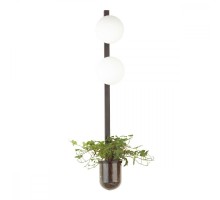 Бра Flower 4681/2WA Odeon Light