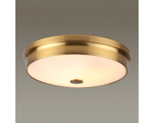 Настенно-потолочный светильник Marsei 4824/4C Odeon Light