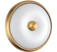 Настенно-потолочный светильник Pelow 4956/2 Odeon Light