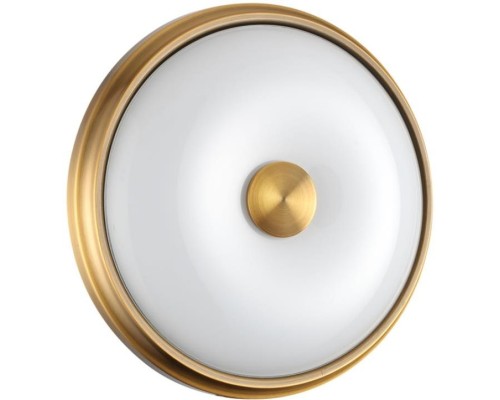 Настенно-потолочный светильник Pelow 4956/2 Odeon Light