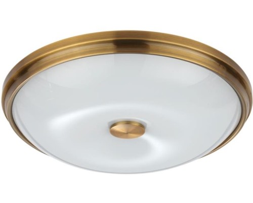 Настенно-потолочный светильник Pelow 4956/4 Odeon Light