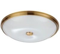 Настенно-потолочный светильник Pelow 4956/5 Odeon Light