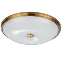 Настенно-потолочный светильник Pelow 4956/5 Odeon Light