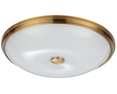 Настенно-потолочный светильник Pelow 4956/5 Odeon Light