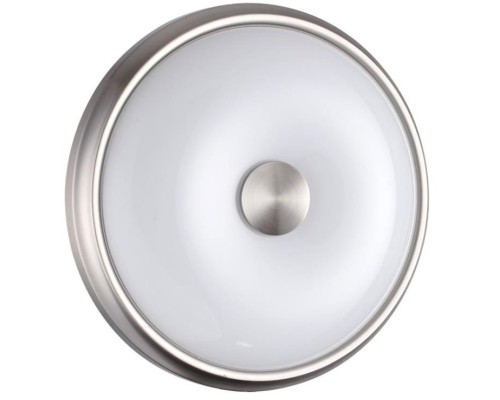 Настенно-потолочный светильник Pelow 4957/2 Odeon Light