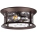 Потолочный светильник уличный Mavret 4961/2C Odeon Light