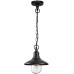 Уличный подвесной светильник Campa 4965/1 Odeon Light
