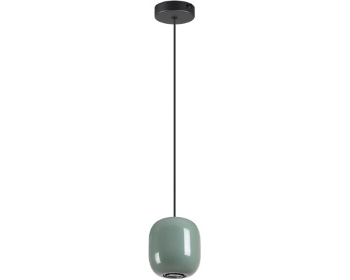 Подвесной светильник Ovali 5053/1C Odeon Light