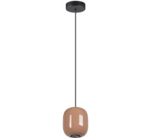 Подвесной светильник Ovali 5053/1G Odeon Light