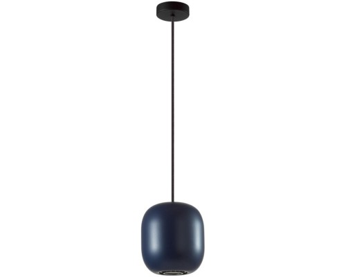 Подвесной светильник Cocoon 5060/1CA Odeon Light