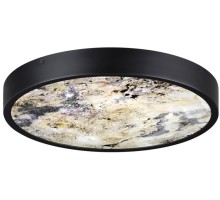 Настенно-потолочный светильник Bergi 5064/24L Odeon Light