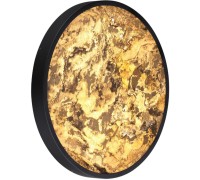 Настенно-потолочный светильник Bergi 5064/40L Odeon Light