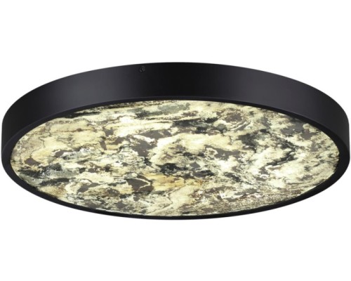 Настенно-потолочный светильник Bergi 5064/40L Odeon Light