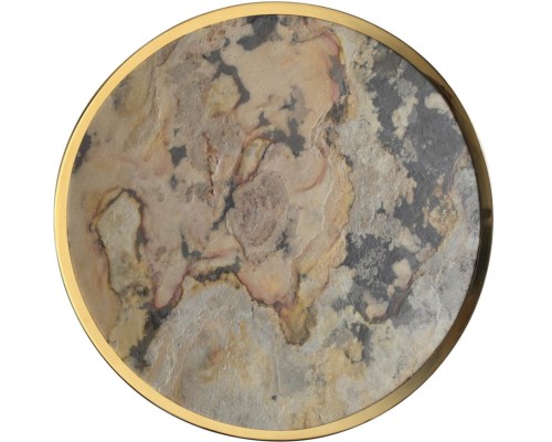 Настенно-потолочный светильник Bergi 5079/40L Odeon Light