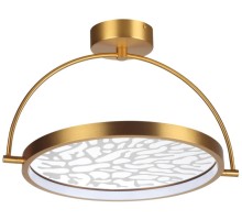 Потолочный светильник Solaris 6627/36CL Odeon Light