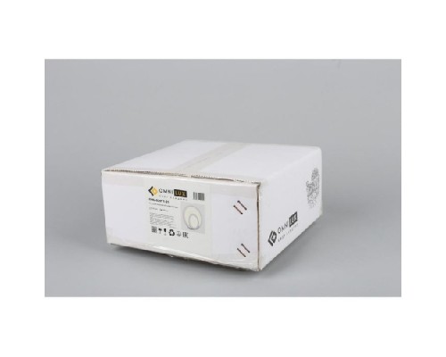 Настенный светильник 29 OML-02911-21 Omnilux