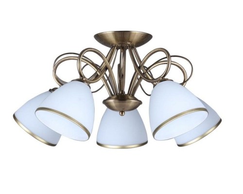 Потолочная люстра 253 OML-25307-05 Omnilux