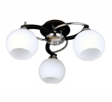 Потолочная люстра 254 OML-25407-03 Omnilux