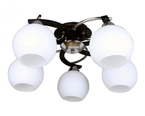 Потолочная люстра 254 OML-25407-05 Omnilux