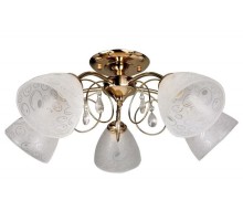 Потолочная люстра 290 OML-29007-05 Omnilux