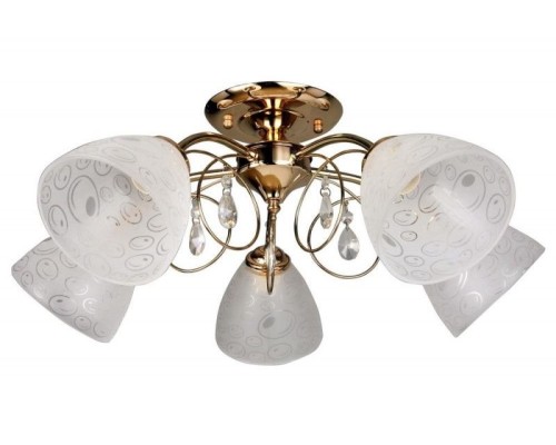 Потолочная люстра 290 OML-29007-05 Omnilux