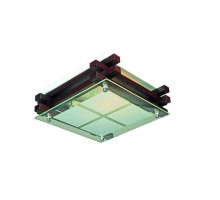 Потолочный светильник Carvalhos OML-40507-02 Omnilux