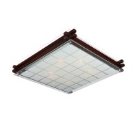 Потолочный светильник Carvalhos OML-40507-05 Omnilux