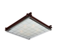 Потолочный светильник Carvalhos OML-40507-05 Omnilux
