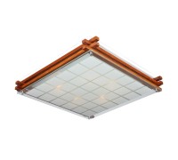 Потолочный светильник Carvalhos OML-40527-05 Omnilux