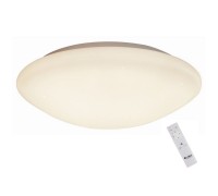 Потолочный светильник Berkeley OML-43007-40 Omnilux