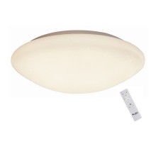 Потолочный светильник Berkeley OML-43007-40 Omnilux