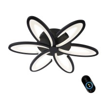 Потолочная люстра Florinas OML-49317-60 Omnilux